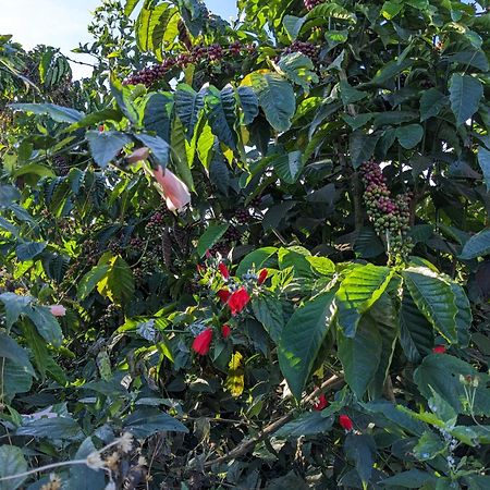 Ivy Coffee Farm - Garden House Apartment Duc Trong Luaran gambar
