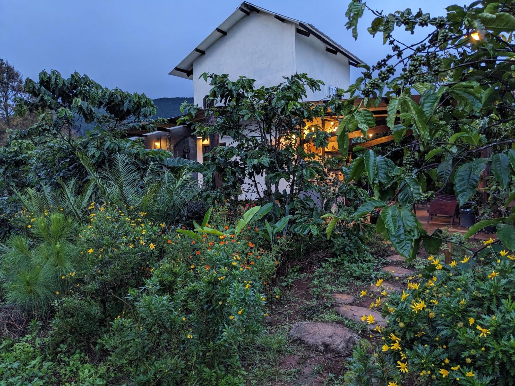 Ivy Coffee Farm - Garden House Apartment Duc Trong Luaran gambar