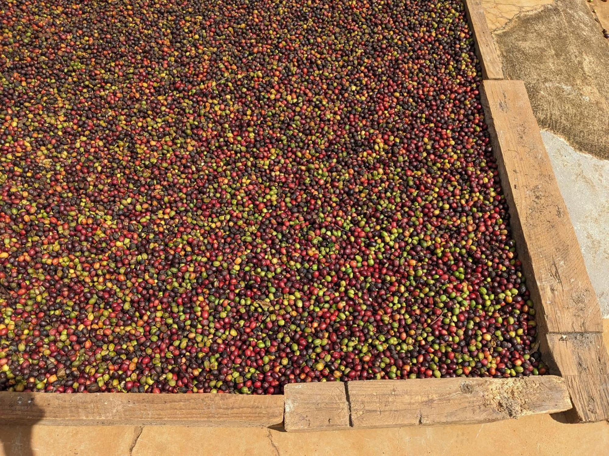 Ivy Coffee Farm - Garden House Apartment Duc Trong Luaran gambar