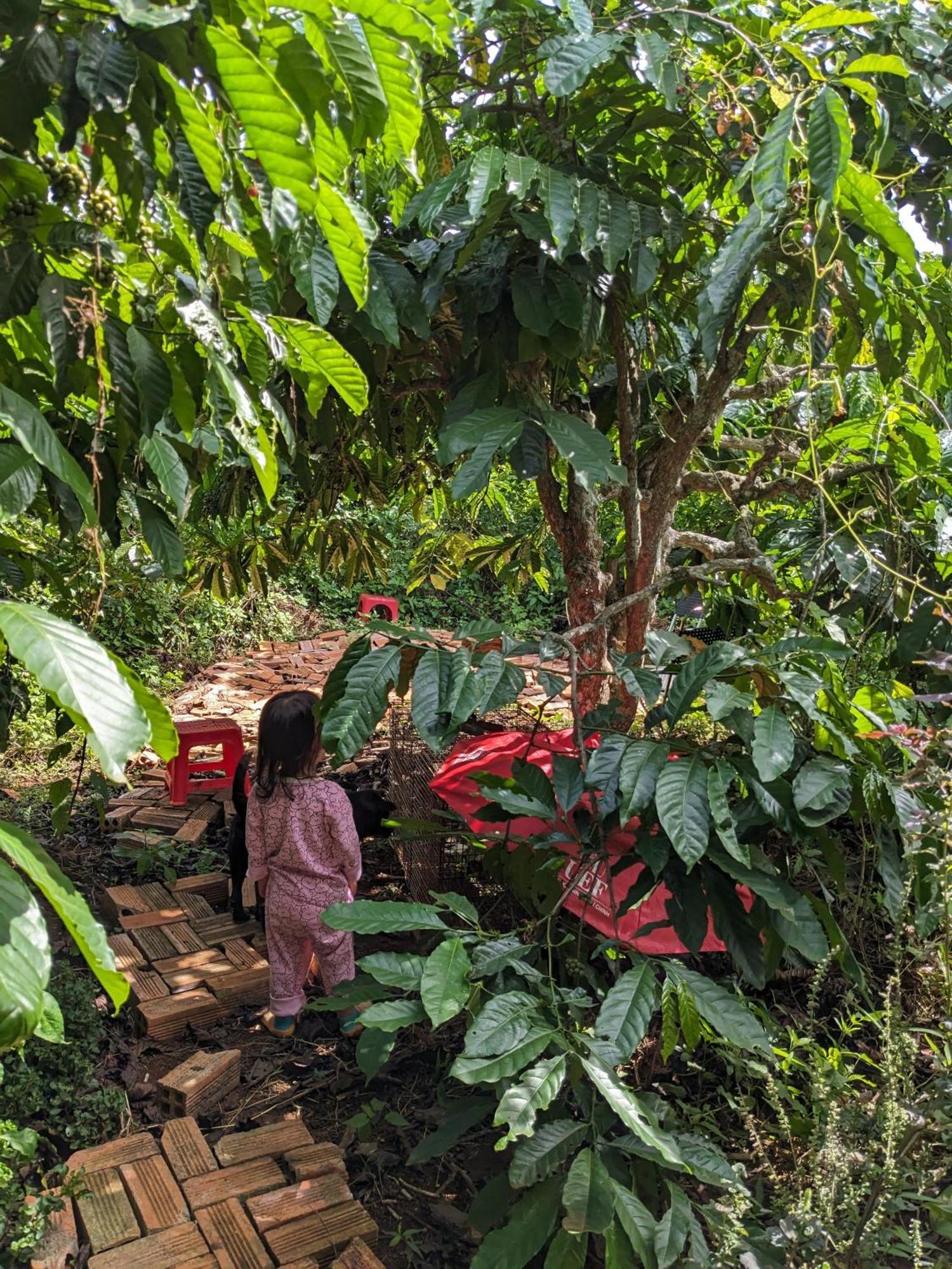 Ivy Coffee Farm - Garden House Apartment Duc Trong Luaran gambar