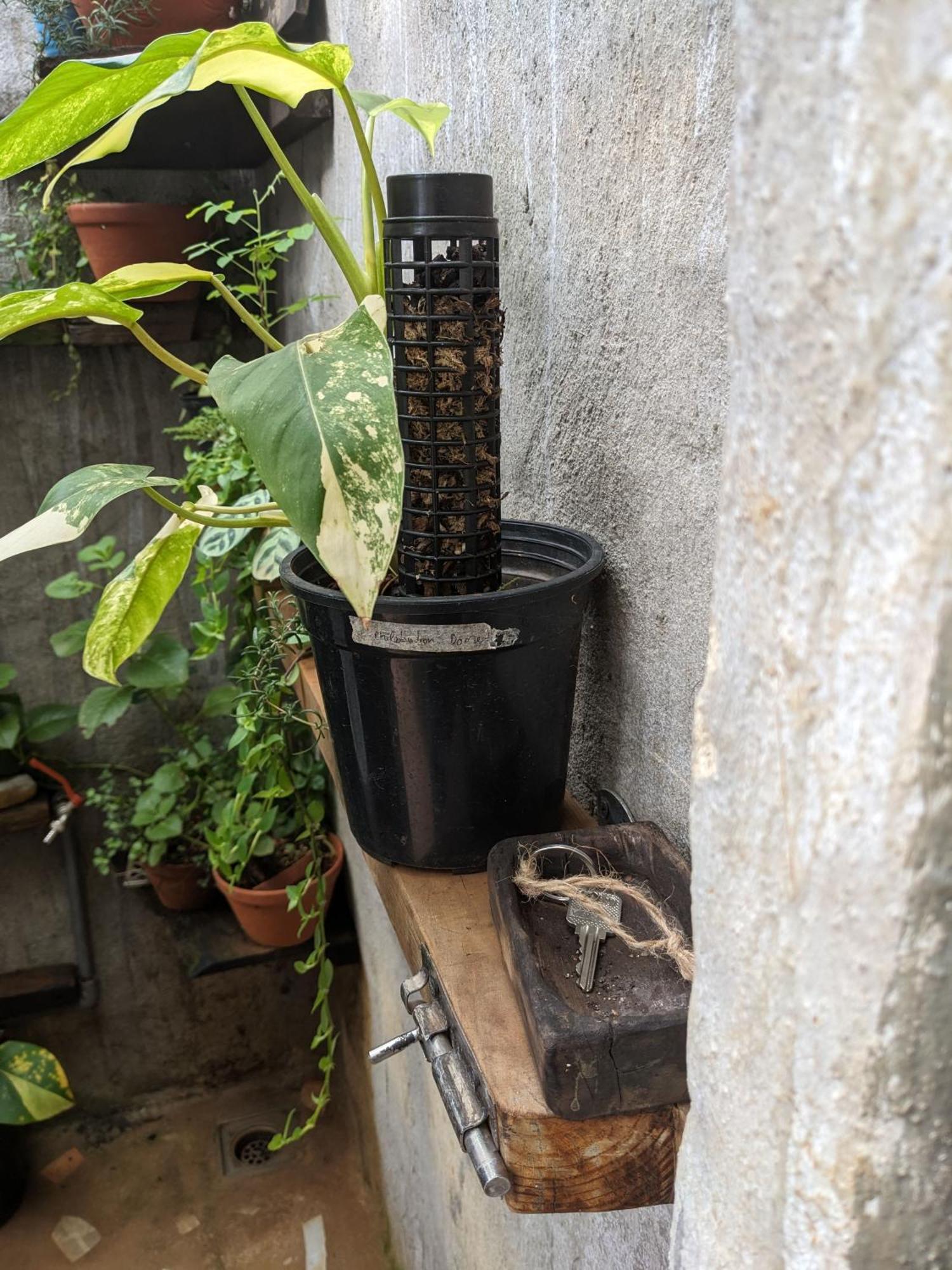 Ivy Coffee Farm - Garden House Apartment Duc Trong Luaran gambar