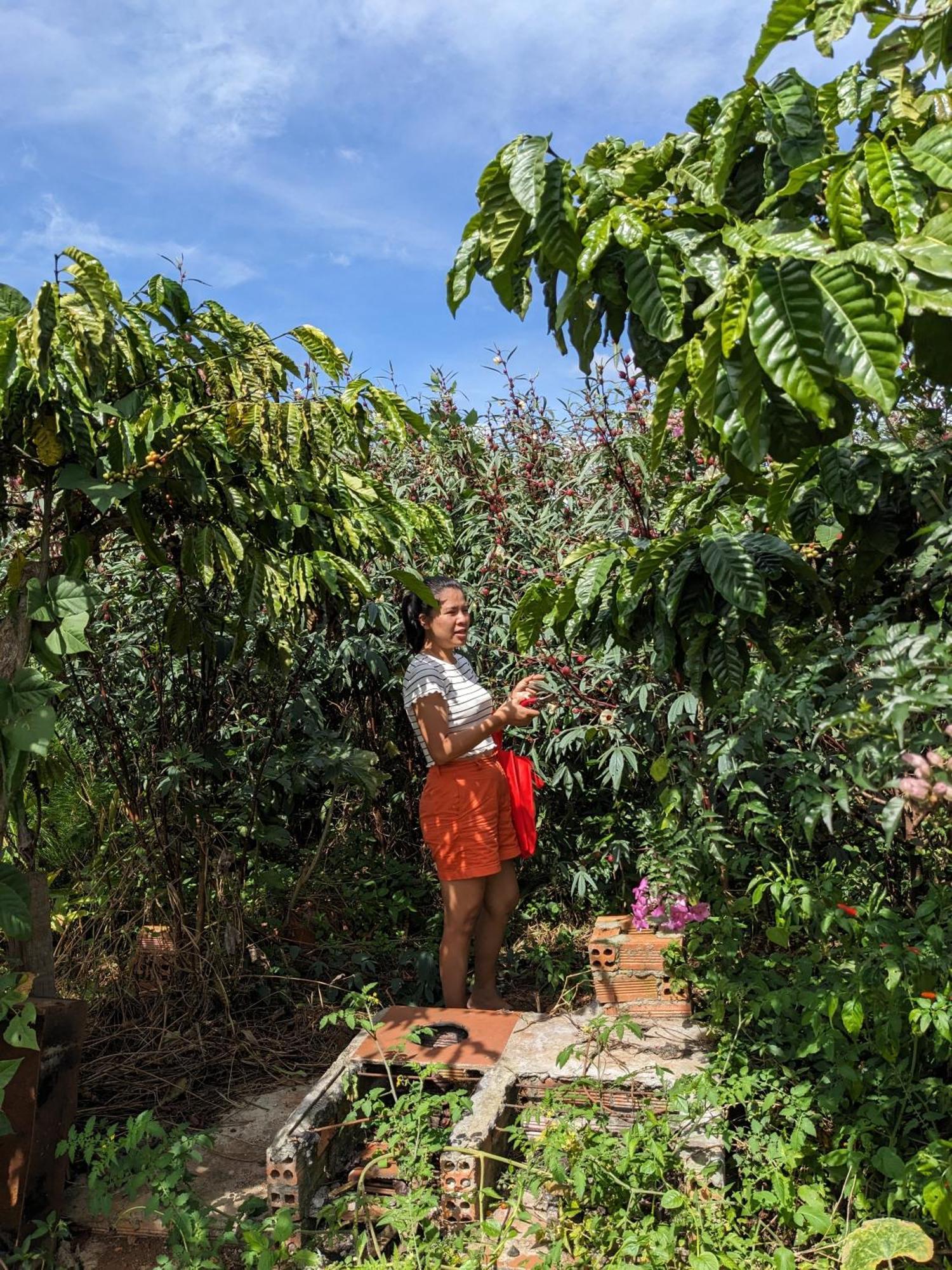 Ivy Coffee Farm - Garden House Apartment Duc Trong Luaran gambar