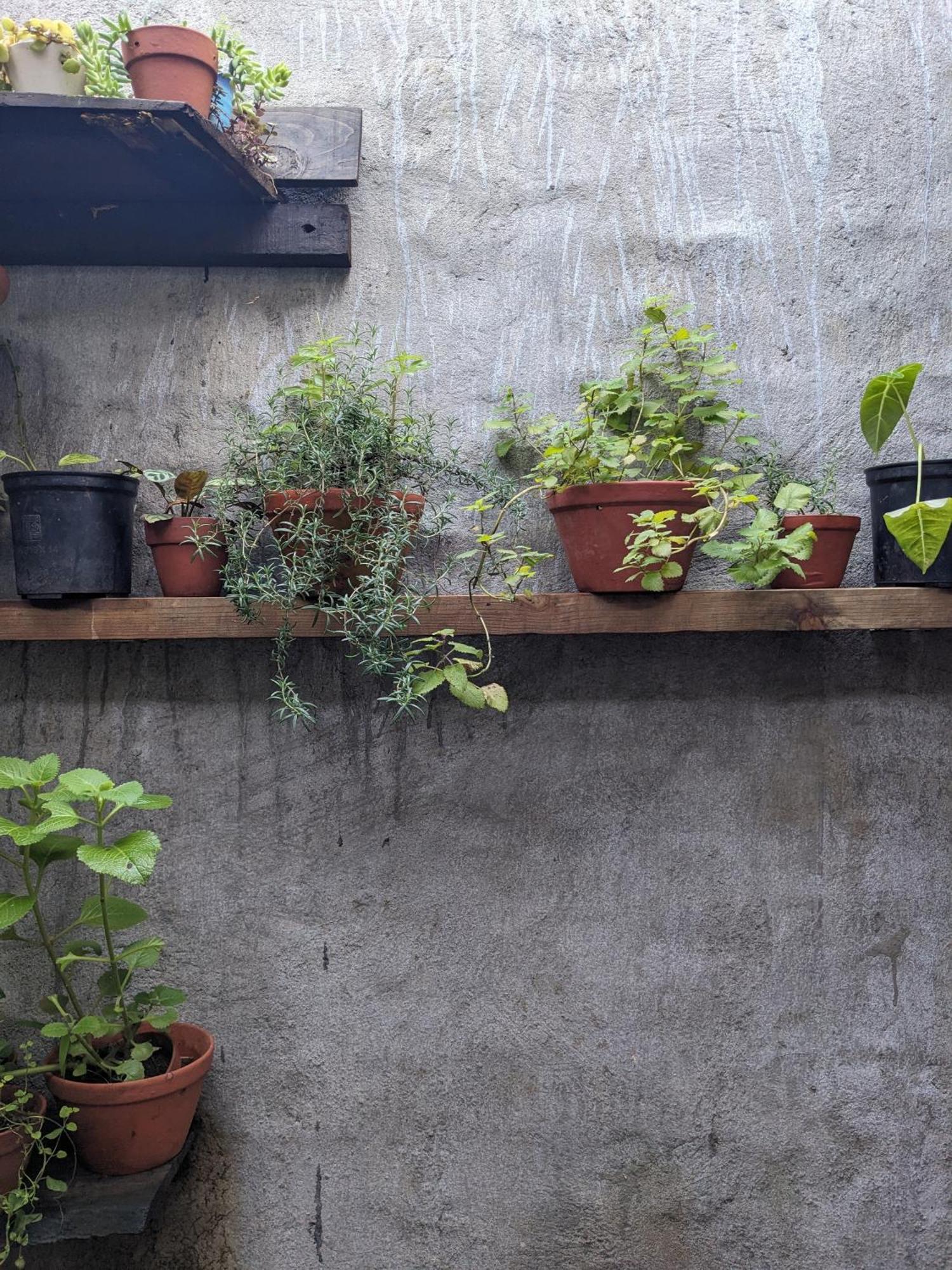 Ivy Coffee Farm - Garden House Apartment Duc Trong Luaran gambar