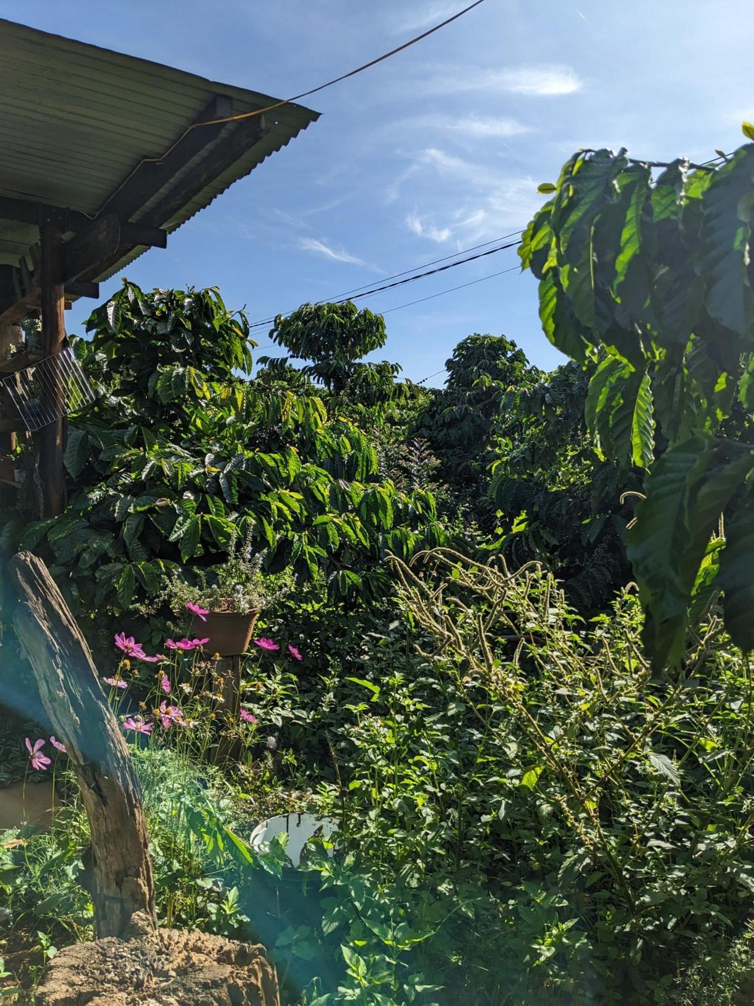 Ivy Coffee Farm - Garden House Apartment Duc Trong Luaran gambar
